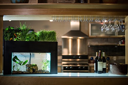 Your one-stop shop for diverse, top-quality aquarium supplies and accessories