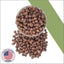 Your one-stop shop for diverse, top-quality aquarium supplies and accessories