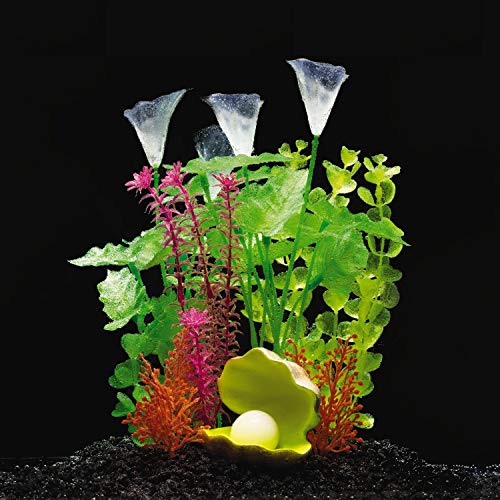 Your one-stop shop for diverse, top-quality aquarium supplies and accessories