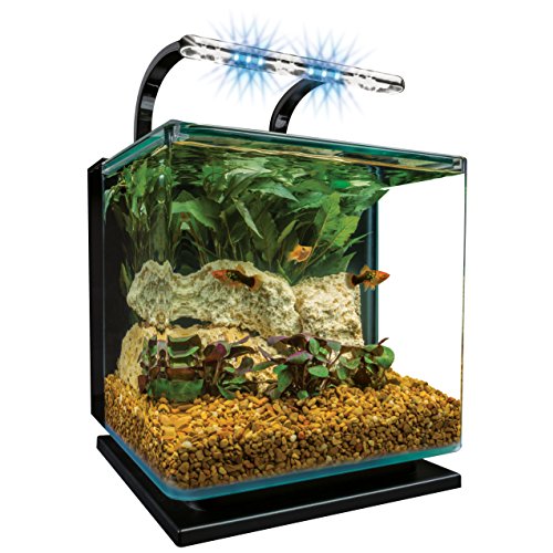 Your one-stop shop for diverse, top-quality aquarium supplies and accessories
