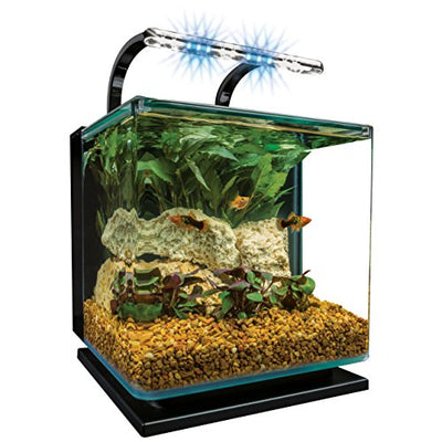 Your one-stop shop for diverse, top-quality aquarium supplies and accessories