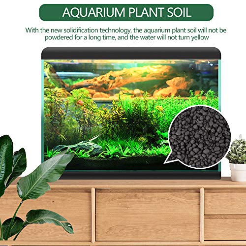 Your one-stop shop for diverse, top-quality aquarium supplies and accessories