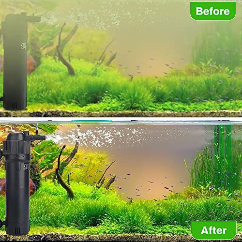 Your one-stop shop for diverse, top-quality aquarium supplies and accessories