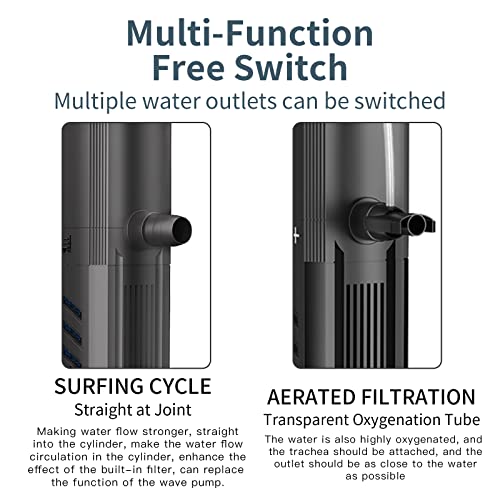 Your one-stop shop for diverse, top-quality aquarium supplies and accessories
