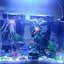 Your one-stop shop for diverse, top-quality aquarium supplies and accessories