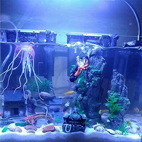 Your one-stop shop for diverse, top-quality aquarium supplies and accessories