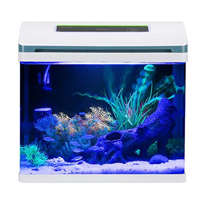 Your one-stop shop for diverse, top-quality aquarium supplies and accessories