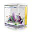 Your one-stop shop for diverse, top-quality aquarium supplies and accessories