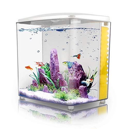Your one-stop shop for diverse, top-quality aquarium supplies and accessories