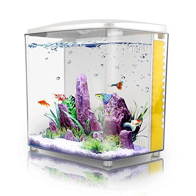 Your one-stop shop for diverse, top-quality aquarium supplies and accessories