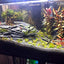 Your one-stop shop for diverse, top-quality aquarium supplies and accessories