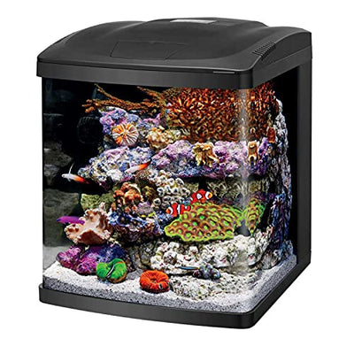 Your one-stop shop for diverse, top-quality aquarium supplies and accessories