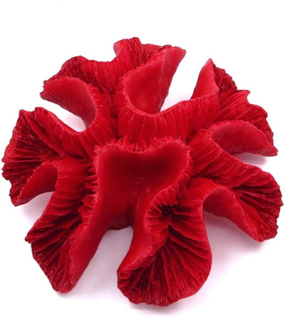 Your one-stop shop for diverse, top-quality aquarium supplies and accessories