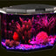 Your one-stop shop for diverse, top-quality aquarium supplies and accessories
