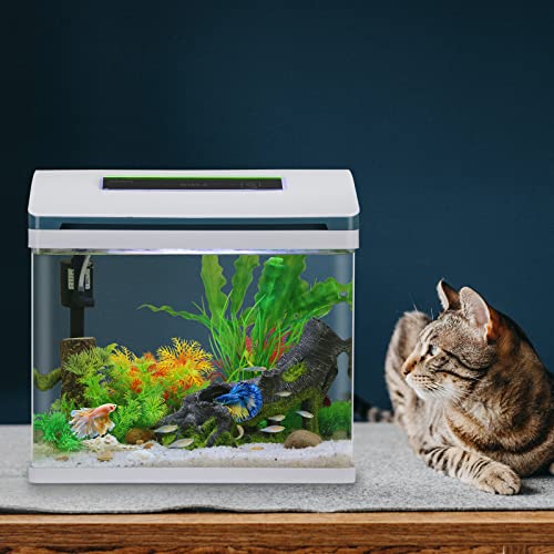 betta fish tank accessories small Betta Fish Tank Glass 5 Gallon Self Cleaning Small Aquarium Starter Ki – Supply AG