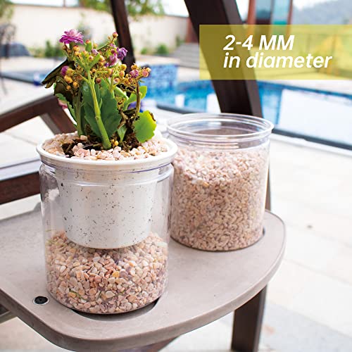 Your one-stop shop for diverse, top-quality aquarium supplies and accessories