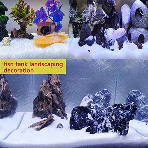 Your one-stop shop for diverse, top-quality aquarium supplies and accessories