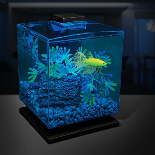 Your one-stop shop for diverse, top-quality aquarium supplies and accessories