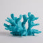 Your one-stop shop for diverse, top-quality aquarium supplies and accessories