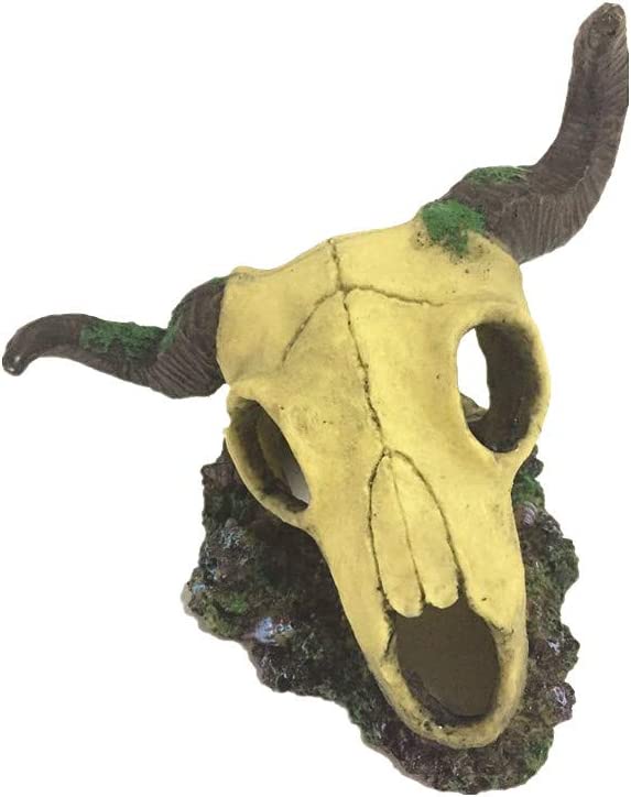 Your one-stop shop for diverse, top-quality aquarium supplies and accessories