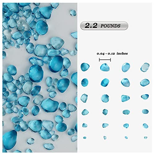 Your one-stop shop for diverse, top-quality aquarium supplies and accessories