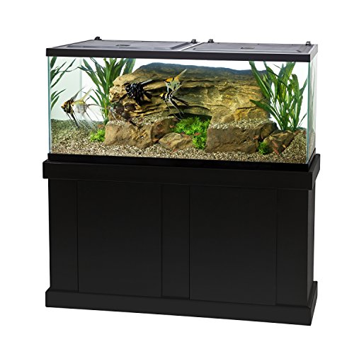Tetra 55 Gallon Aquarium Kit with Fish Tank, Fish Net, Fish Food, Filt – Supply AG Tetra 55 Gallon Aquarium Kit with Fish Tank, Fish Net, Fish Food, Filt – Supply AG