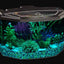 Your one-stop shop for diverse, top-quality aquarium supplies and accessories