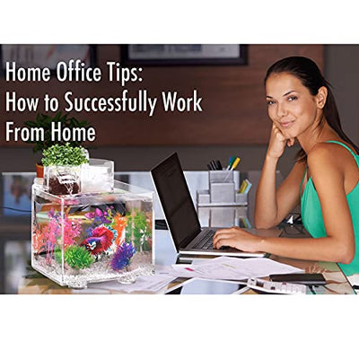Your one-stop shop for diverse, top-quality aquarium supplies and accessories