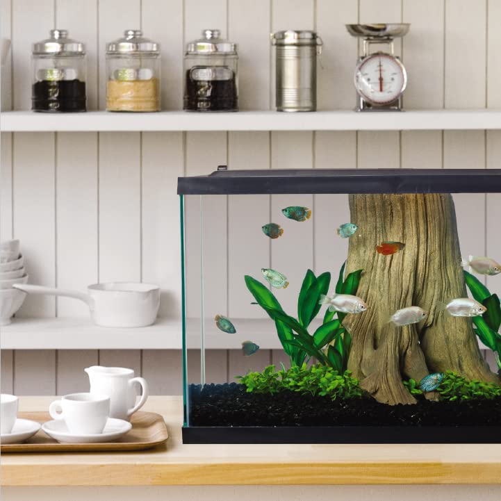 Your one-stop shop for diverse, top-quality aquarium supplies and accessories