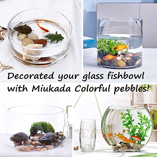 Your one-stop shop for diverse, top-quality aquarium supplies and accessories