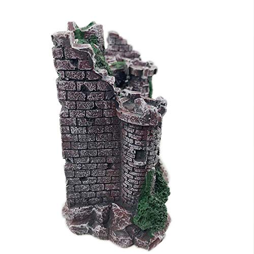 Your one-stop shop for diverse, top-quality aquarium supplies and accessories