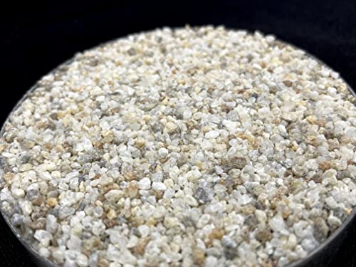 Your one-stop shop for diverse, top-quality aquarium supplies and accessories