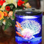 Your one-stop shop for diverse, top-quality aquarium supplies and accessories