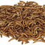Your one-stop shop for diverse, top-quality aquarium supplies and accessories