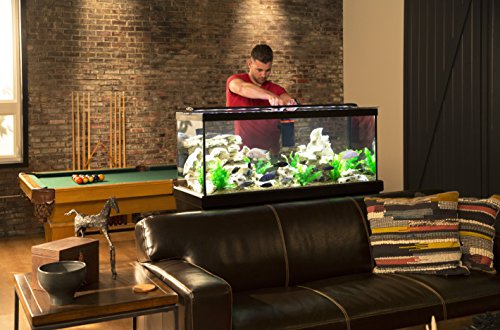 Your one-stop shop for diverse, top-quality aquarium supplies and accessories