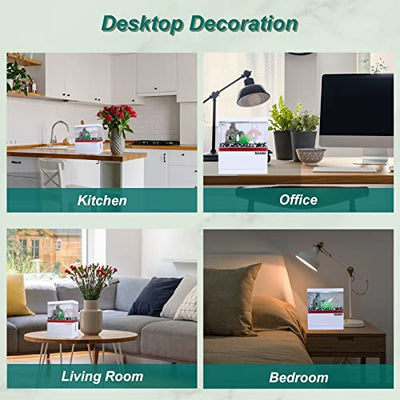 Your one-stop shop for diverse, top-quality aquarium supplies and accessories