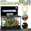 Your one-stop shop for diverse, top-quality aquarium supplies and accessories