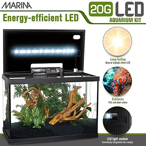 Your one-stop shop for diverse, top-quality aquarium supplies and accessories