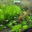 Your one-stop shop for diverse, top-quality aquarium supplies and accessories