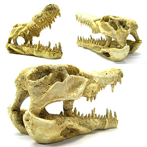 Your one-stop shop for diverse, top-quality aquarium supplies and accessories