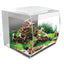 Your one-stop shop for diverse, top-quality aquarium supplies and accessories