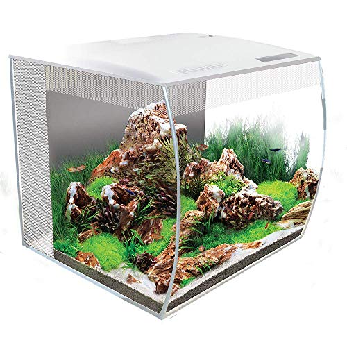 Your one-stop shop for diverse, top-quality aquarium supplies and accessories