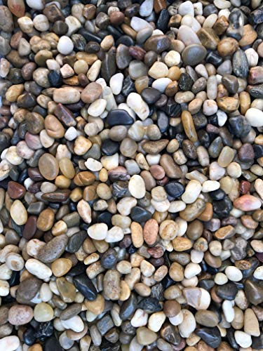 Your one-stop shop for diverse, top-quality aquarium supplies and accessories