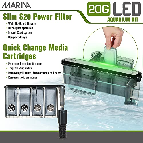 Your one-stop shop for diverse, top-quality aquarium supplies and accessories