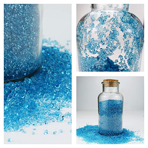 Your one-stop shop for diverse, top-quality aquarium supplies and accessories