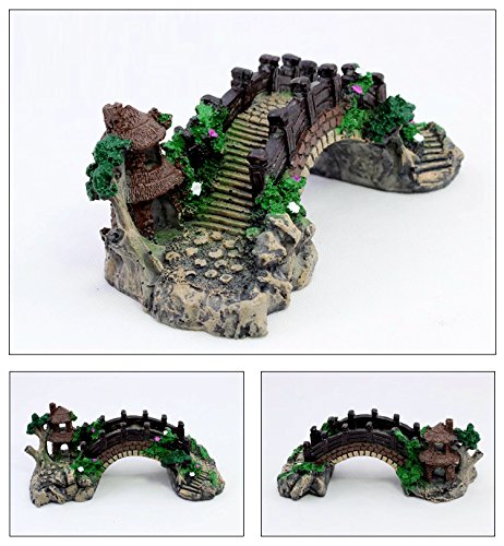 Your one-stop shop for diverse, top-quality aquarium supplies and accessories