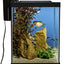Your one-stop shop for diverse, top-quality aquarium supplies and accessories