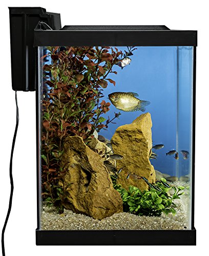 Tetra Aquarium 20 Gallon Fish Tank Kit, Includes LED Lighting and Deco – Supply AG Tetra Aquarium 20 Gallon Fish Tank Kit, Includes LED Lighting and Deco – Supply AG