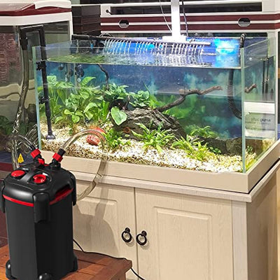 Your one-stop shop for diverse, top-quality aquarium supplies and accessories