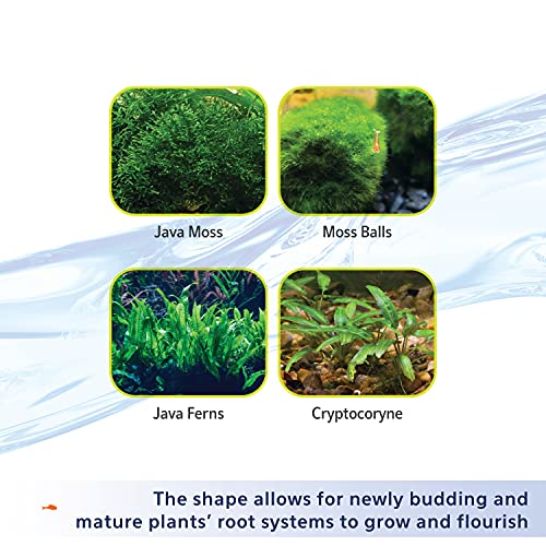Your one-stop shop for diverse, top-quality aquarium supplies and accessories